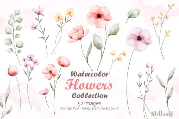 Download Watercolor Flowers Collection - Collection Collection