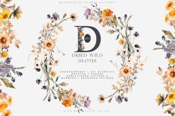 Download Autumn Wildflowers Clipart Collection - Collection Collection